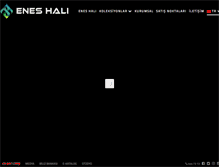 Tablet Screenshot of eneshali.com.tr